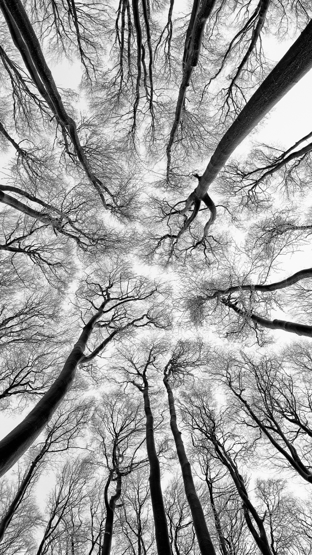 E no offline, você se&nbsp;garante?